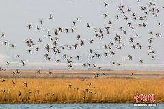 天津市获2026年李光耀世界城市奖特别提名奖